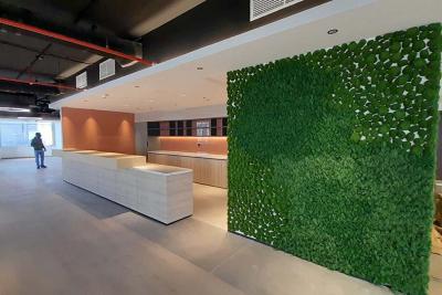  Best Interiors and Fitout Company in Dubai UAE